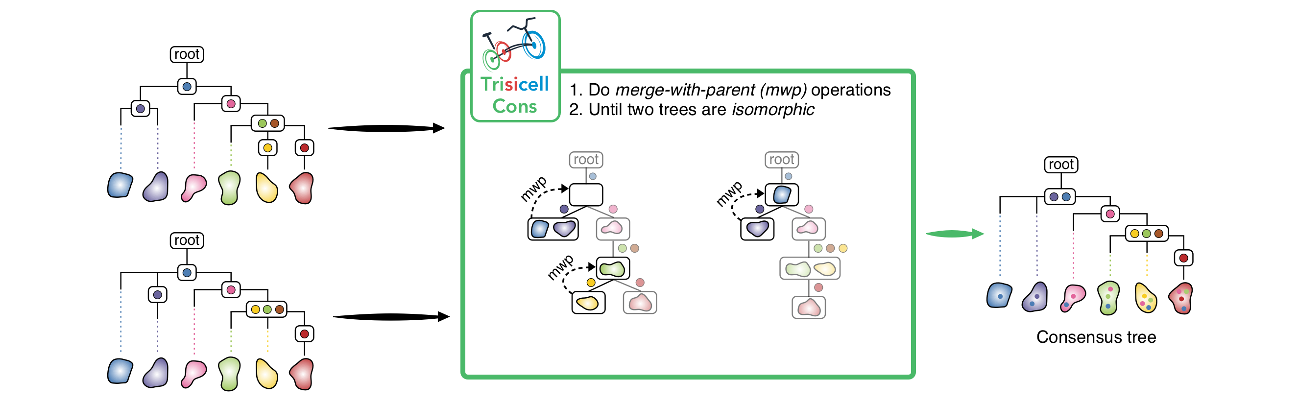Trisicell-Cons